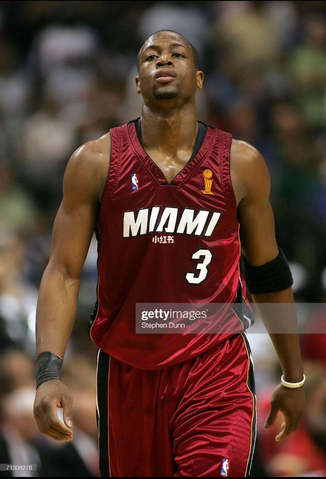 季后赛门票 季后赛门票